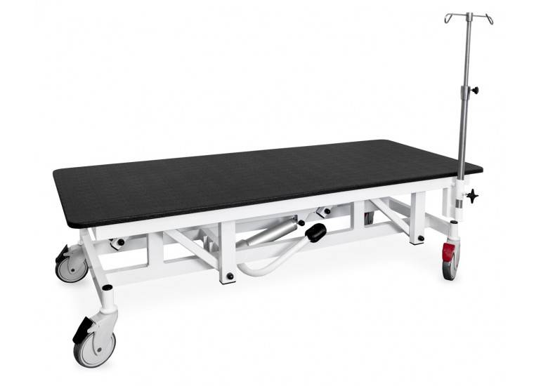 Veterinary exam table GOLIAT